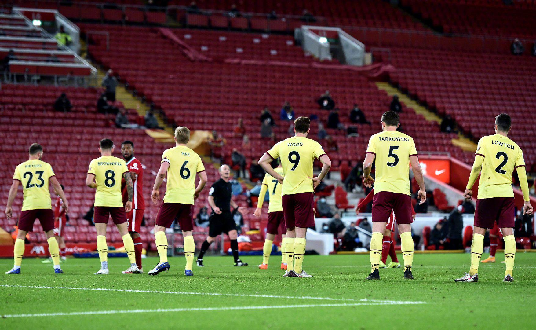 和观赏性 和观赏性